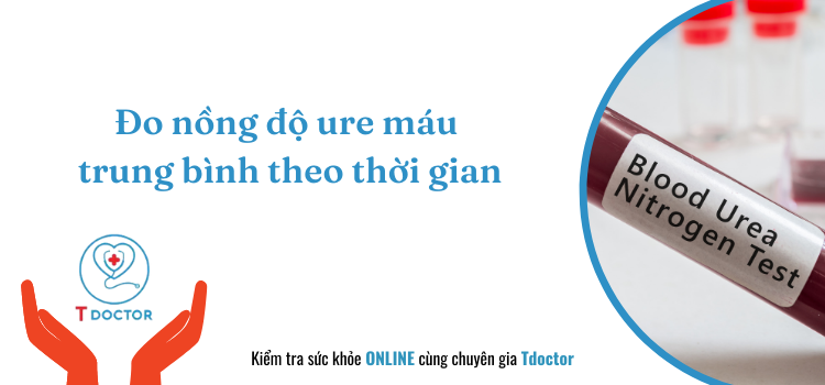 Đo nồng độ ure máu trung bình theo thời gian